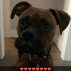 Meet your Posher, Michelle